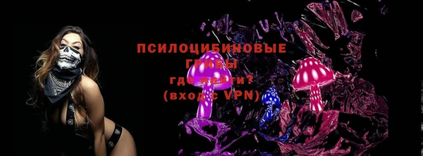 стаф Алексеевка