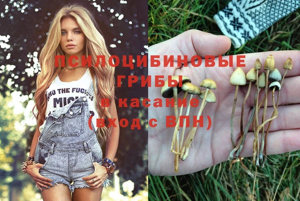 стаф Алексеевка
