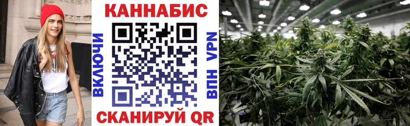 Шишки марихуана SATIVA & INDICA  Волхов 